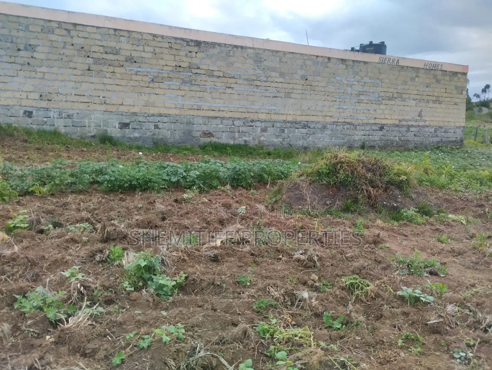 Genuine Clean 1/8 Plot Olkalou Town