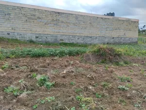 Genuine Clean 1/8 Plot Olkalou Town