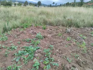 Genuine Clean 1/8 Plot Olkalou Town