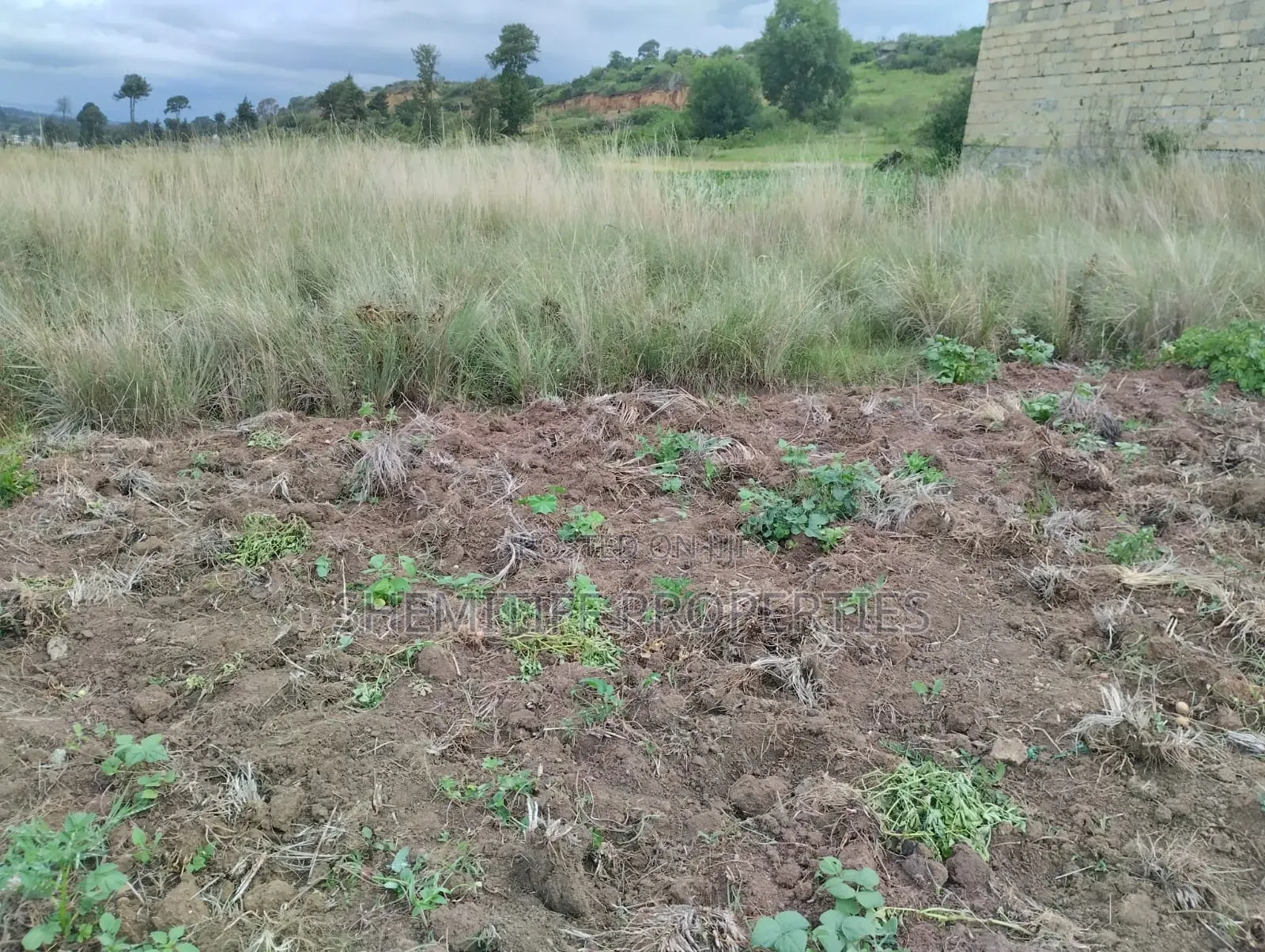 Genuine Clean 1/8 Plot Olkalou Town