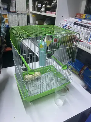 Love :Birds
