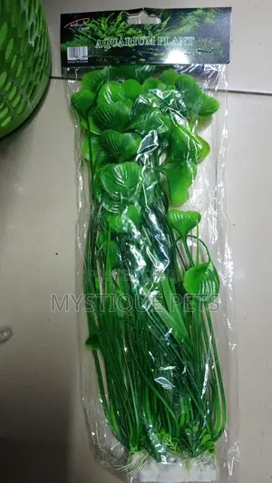 Bush Aquarium Plants