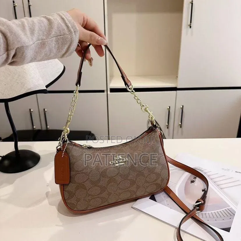 Simple and Beautiful Coach Bags