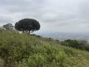 1 Acre Mua Hills Kitanga