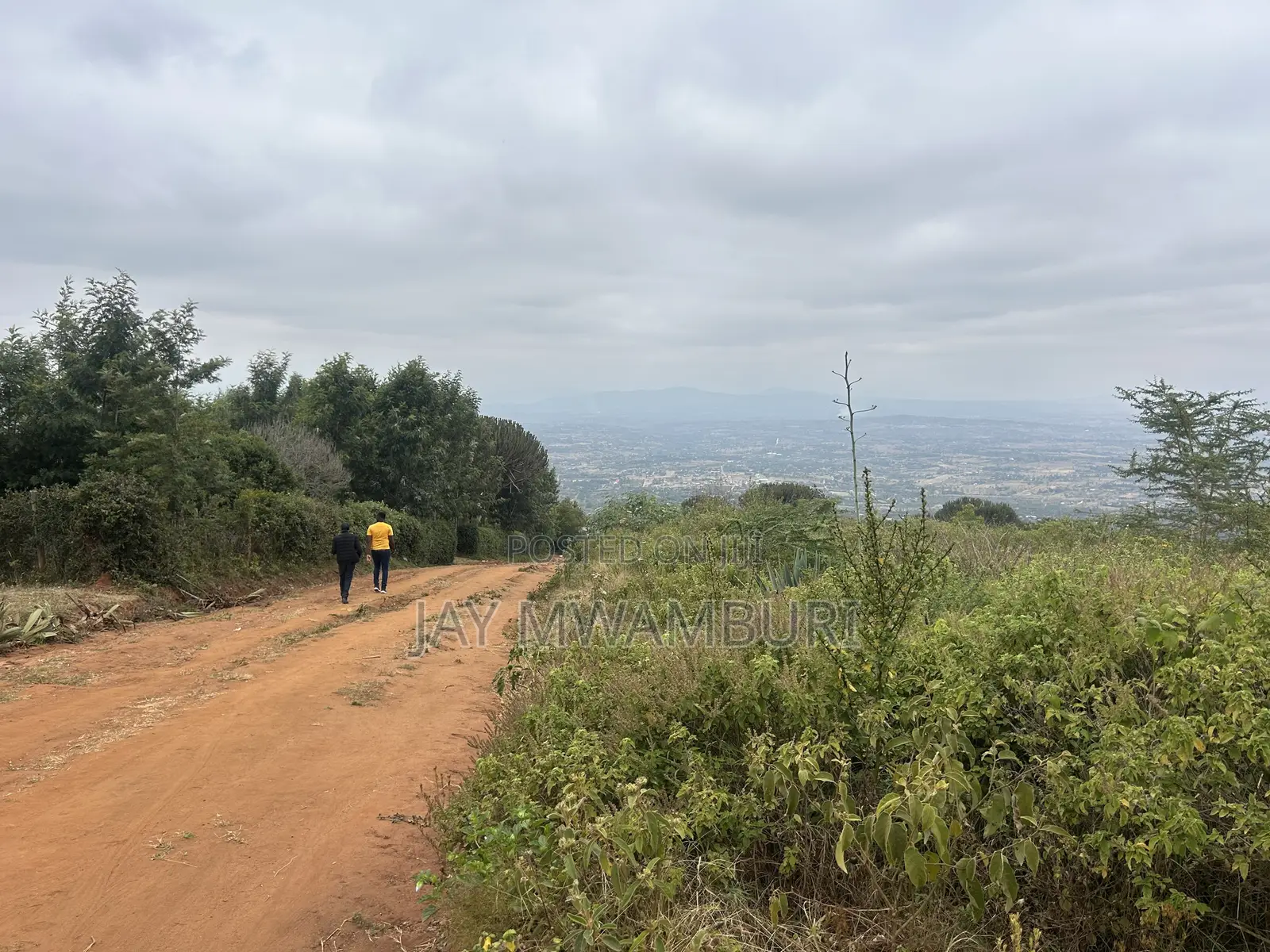 1 Acre Mua Hills Kitanga