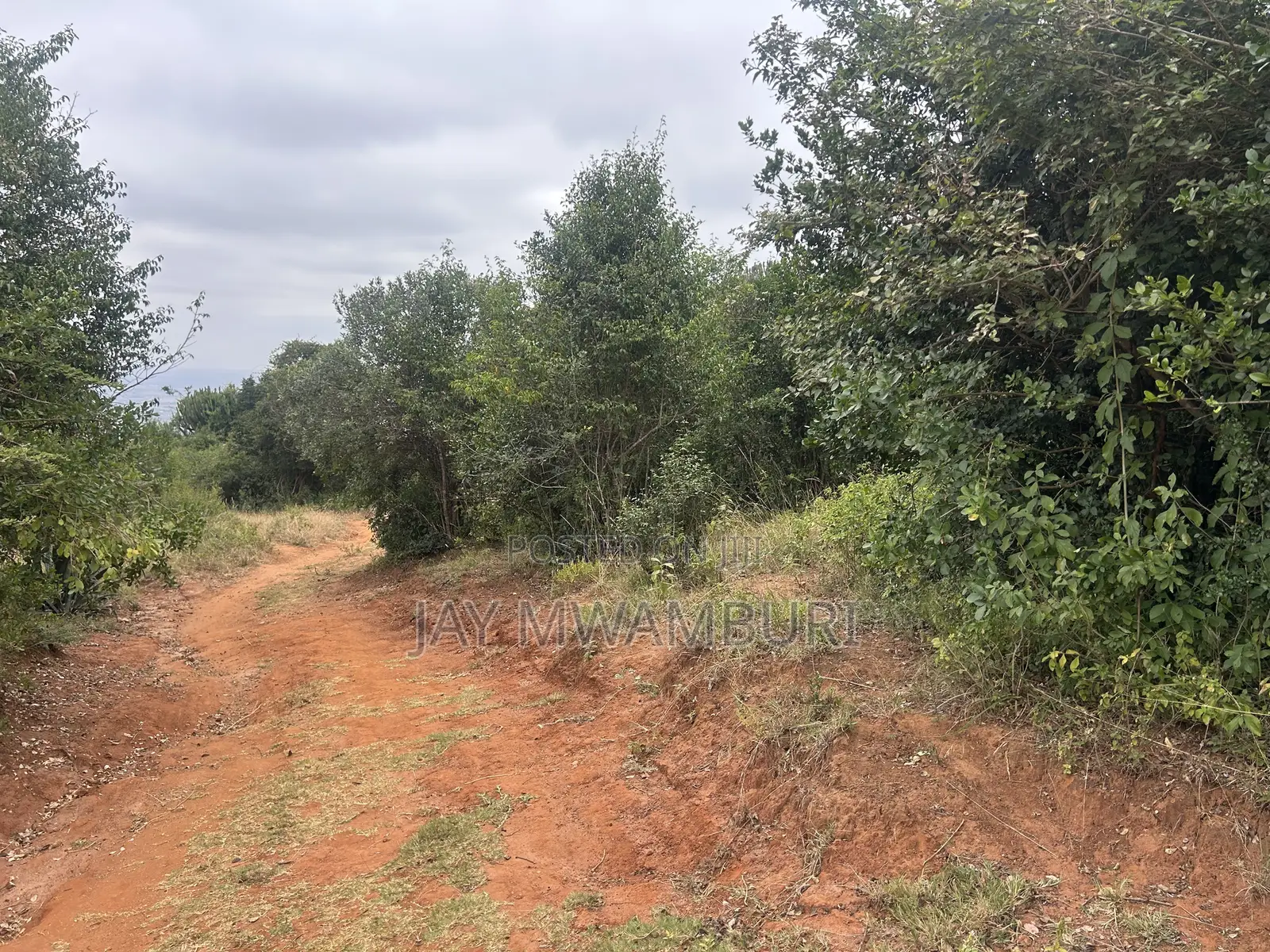1 Acre Mua Hills Kitanga