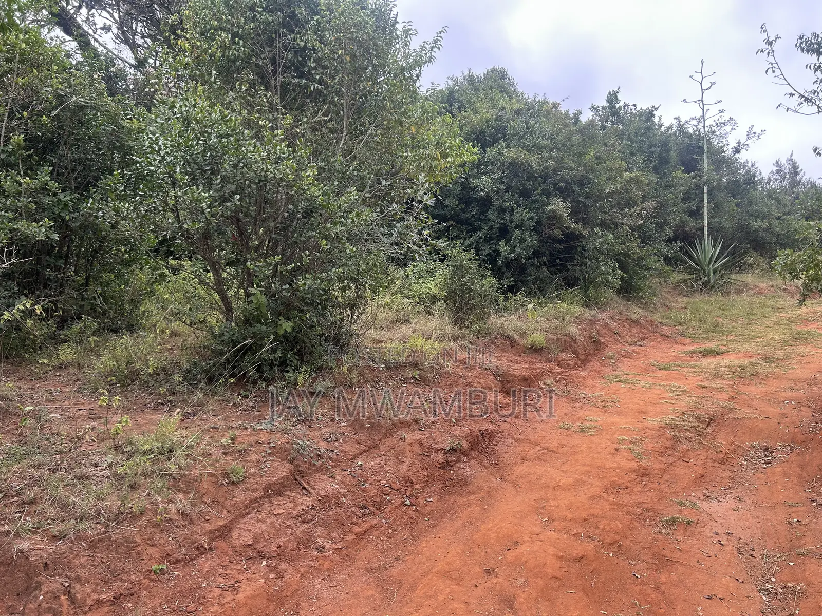1 Acre Mua Hills Kitanga