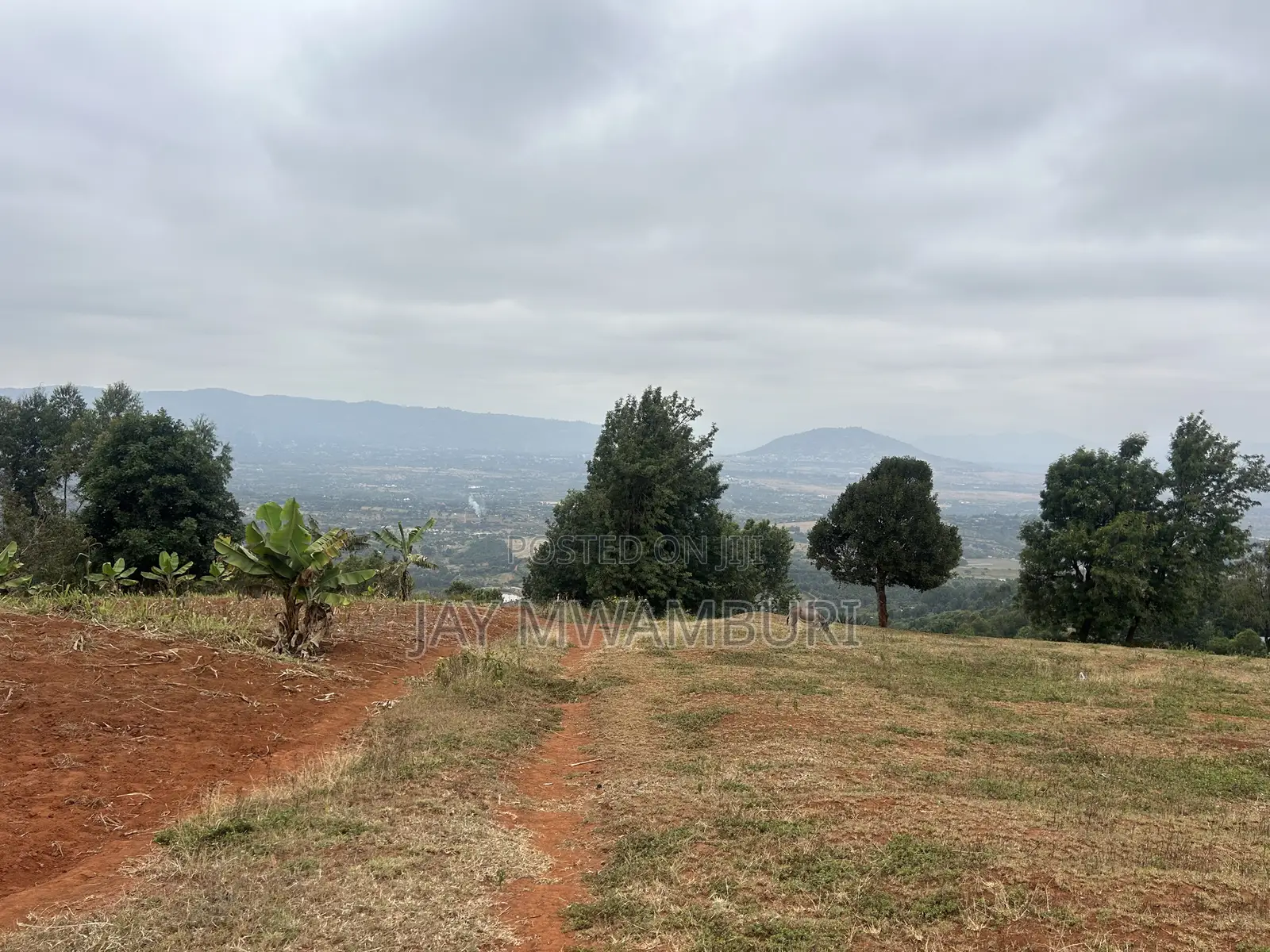 Five Acres Kitanga Mua Hills