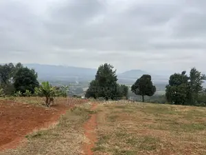 Five Acres Kitanga Mua Hills