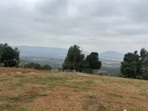 Five Acres Kitanga Mua Hills