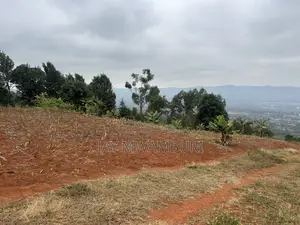 Five Acres Kitanga Mua Hills