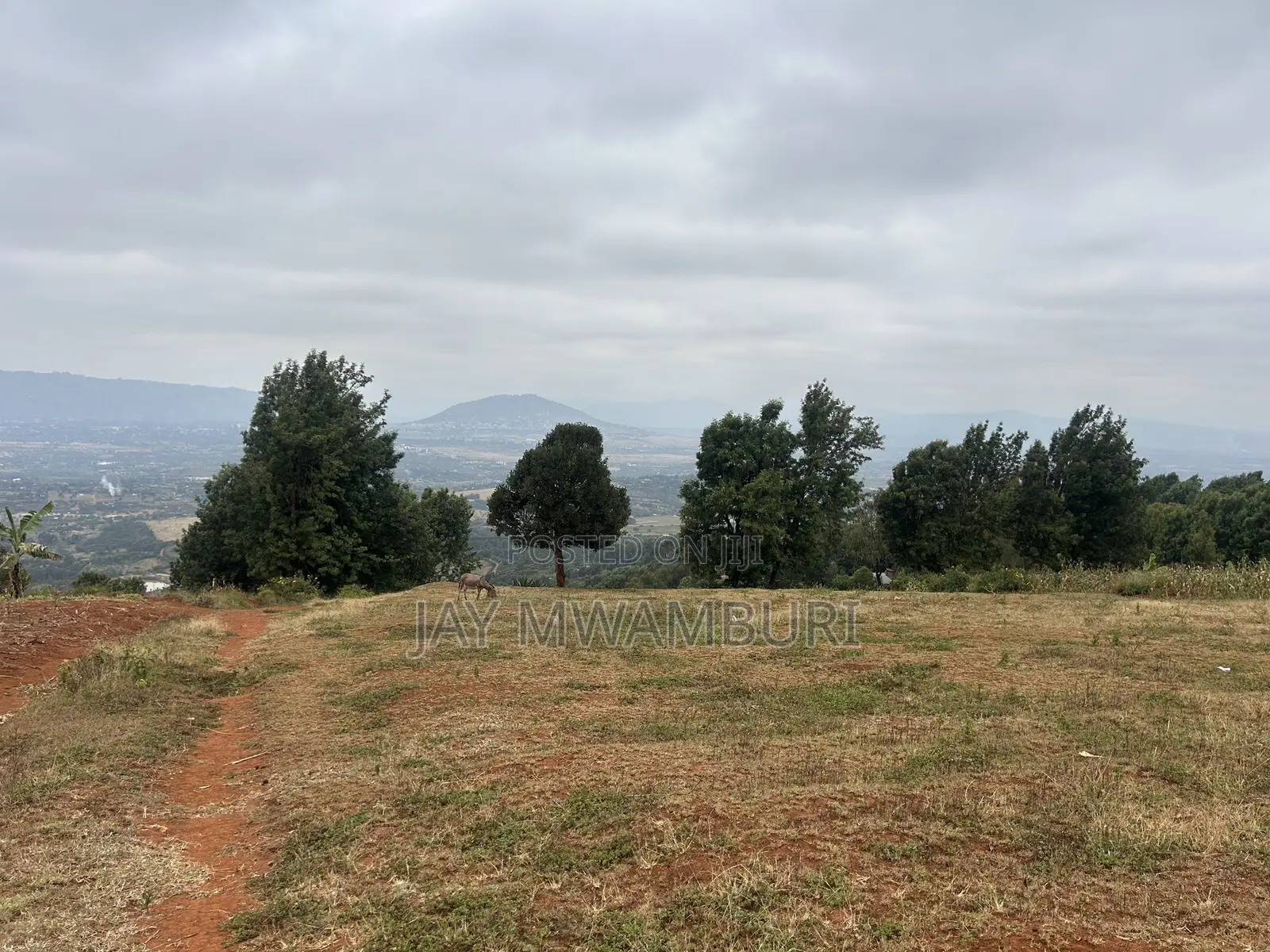 Five Acres Kitanga Mua Hills