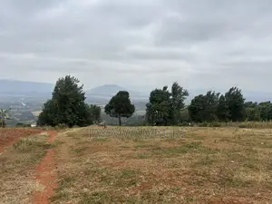 Five Acres Kitanga Mua Hills