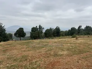 Five Acres Kitanga Mua Hills
