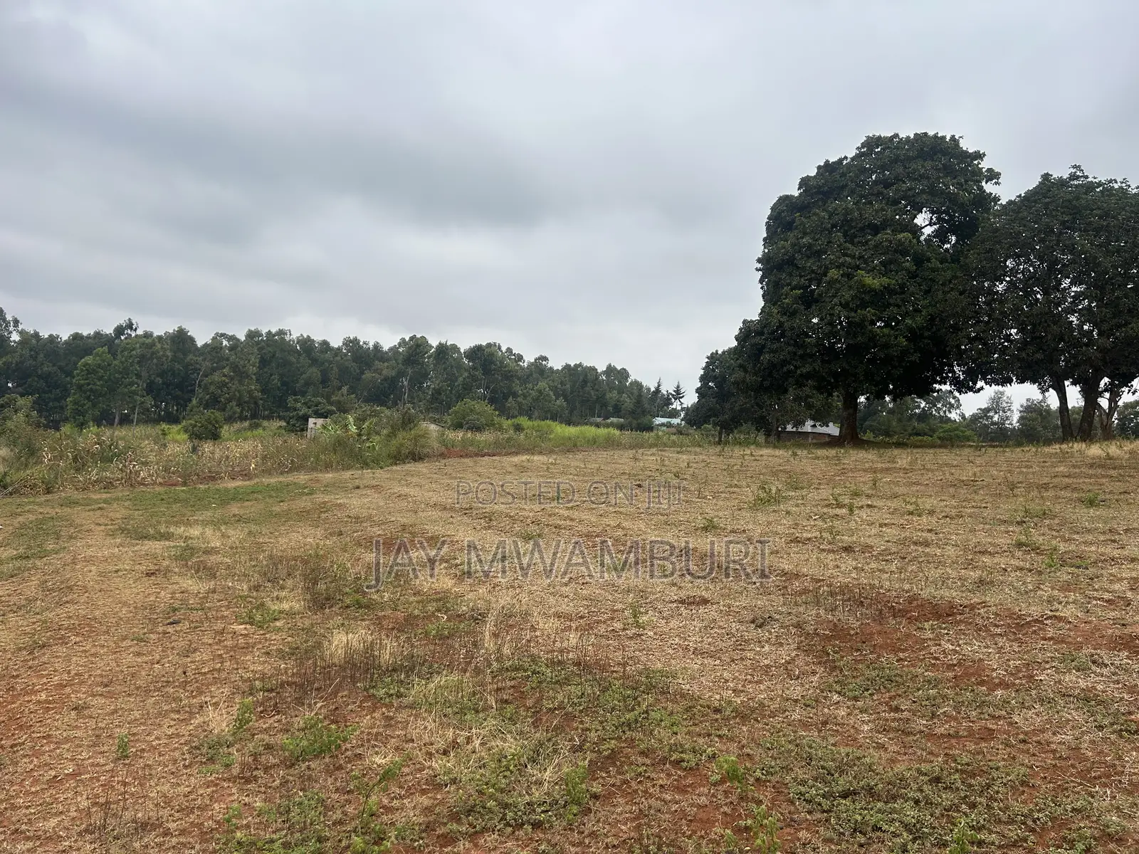 Five Acres Kitanga Mua Hills