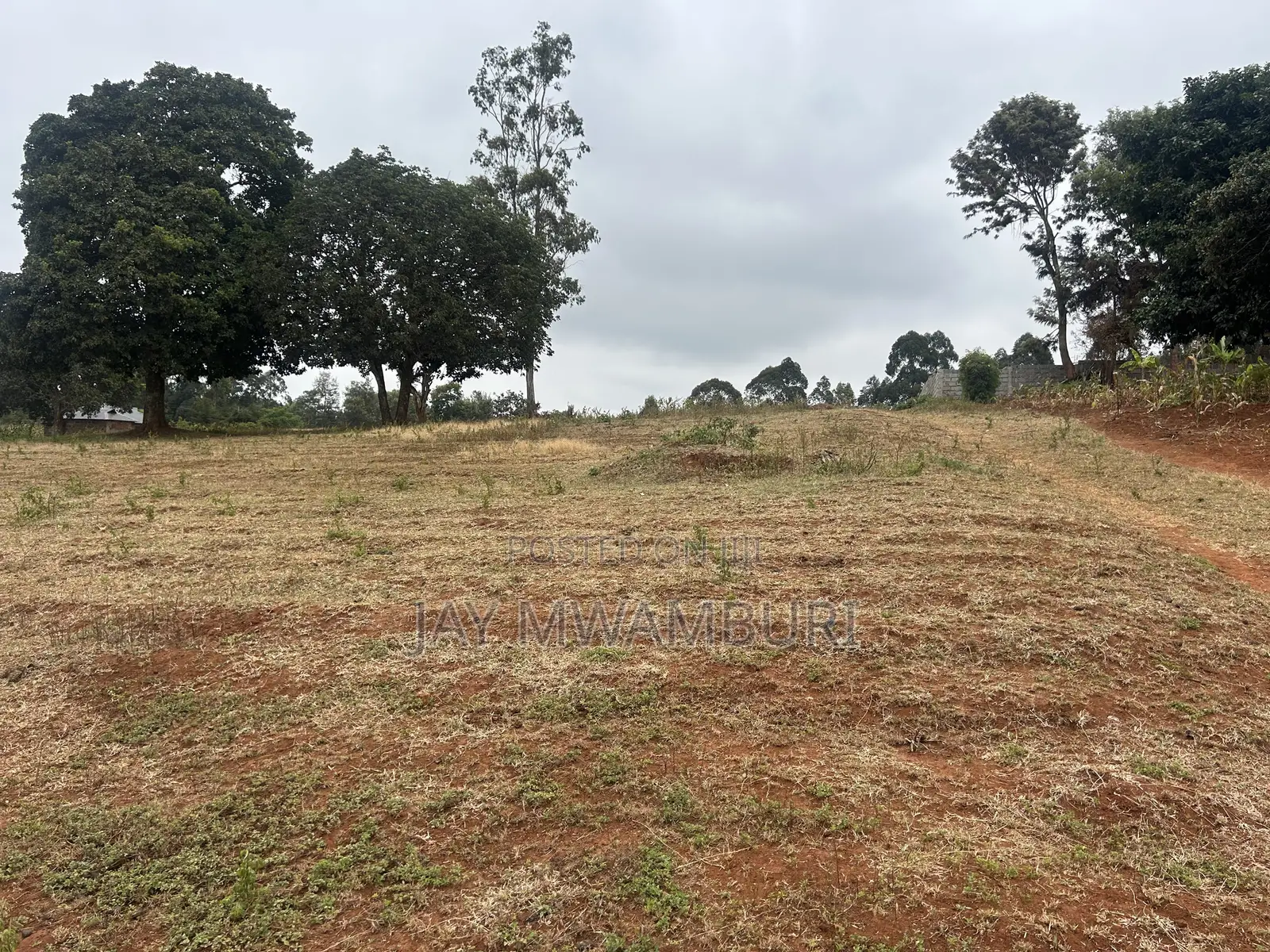Five Acres Kitanga Mua Hills
