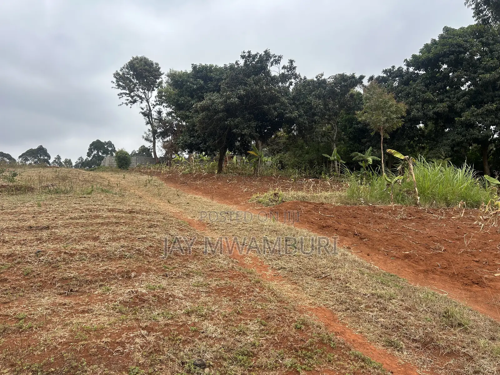 Five Acres Kitanga Mua Hills