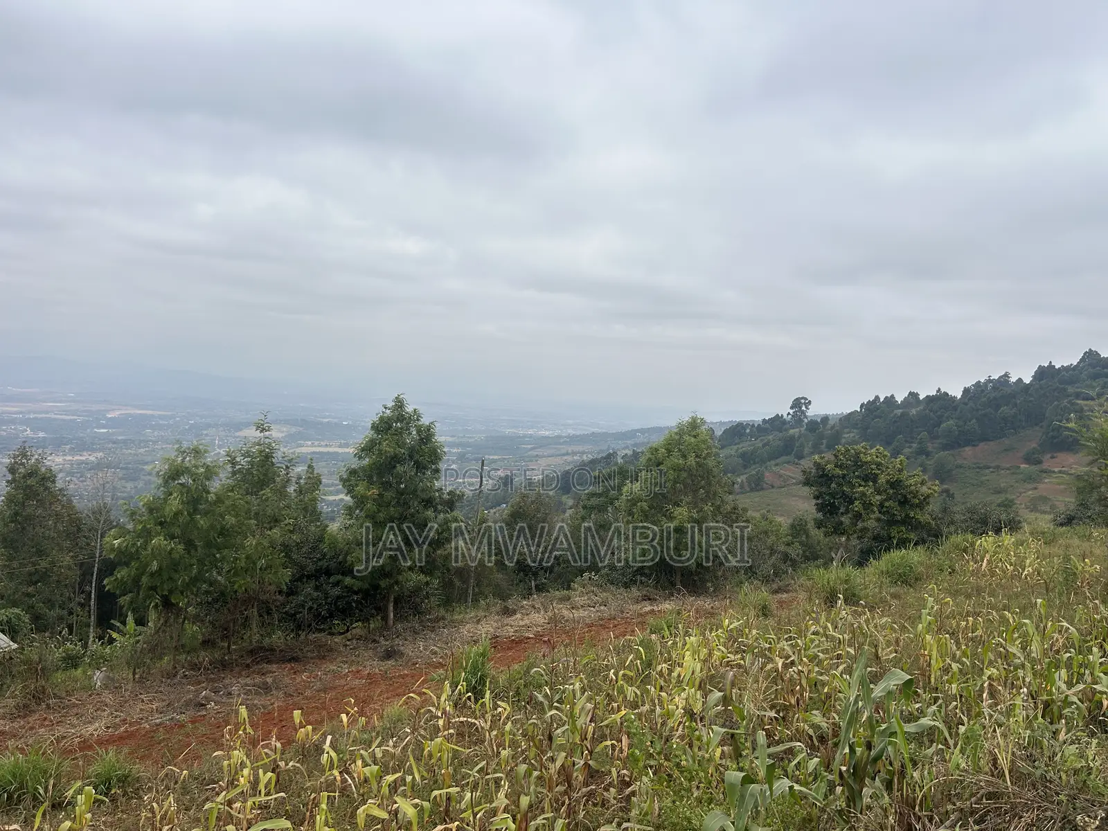 Two Acres Mua Hills Radar