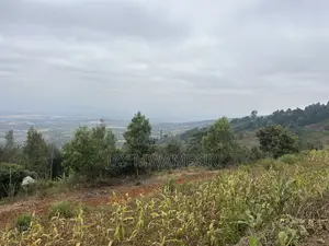 Two Acres Mua Hills Radar