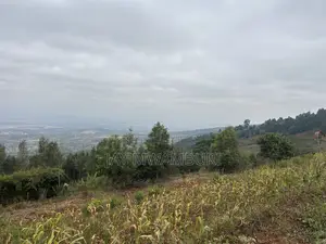 Two Acres Mua Hills Radar