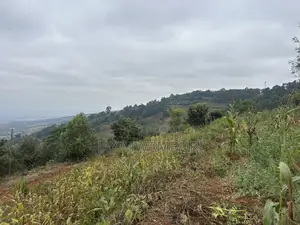 Two Acres Mua Hills Radar