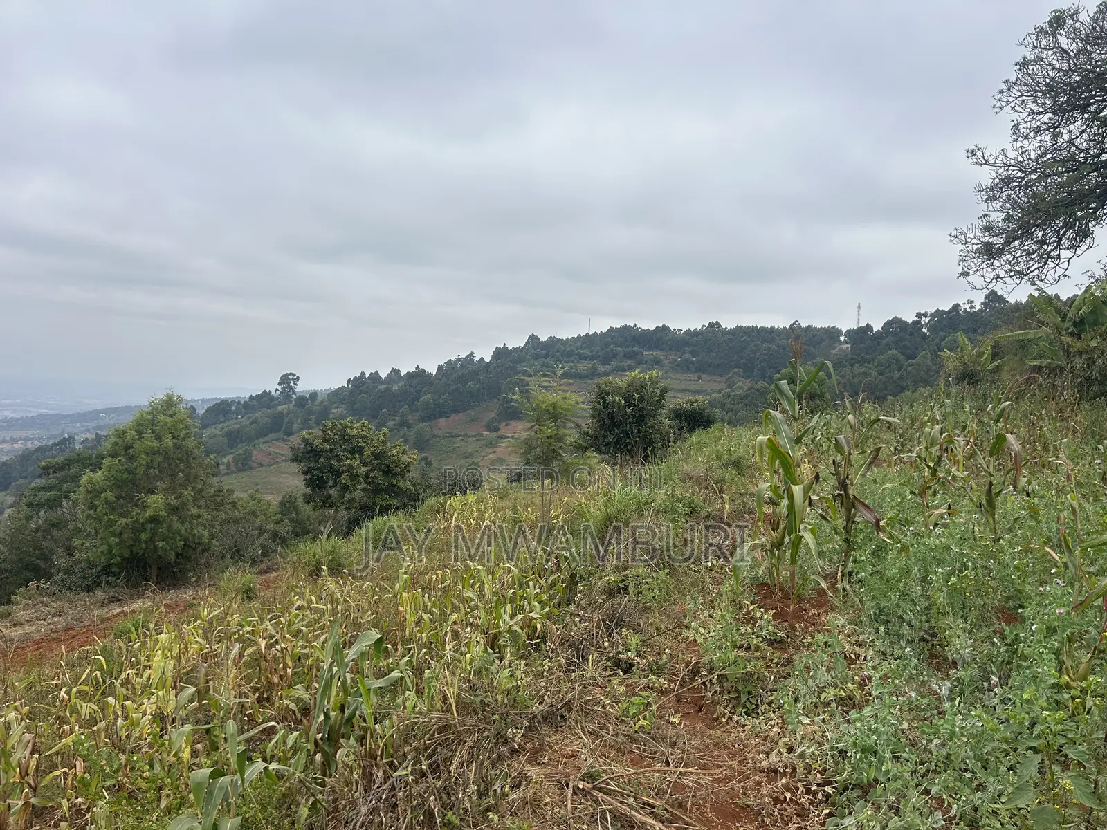 Two Acres Mua Hills Radar
