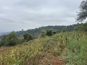 Two Acres Mua Hills Radar