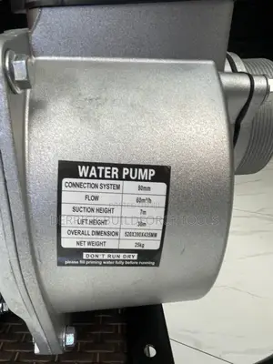 SkyGo Germany Heavy Duty 3” Water Pump