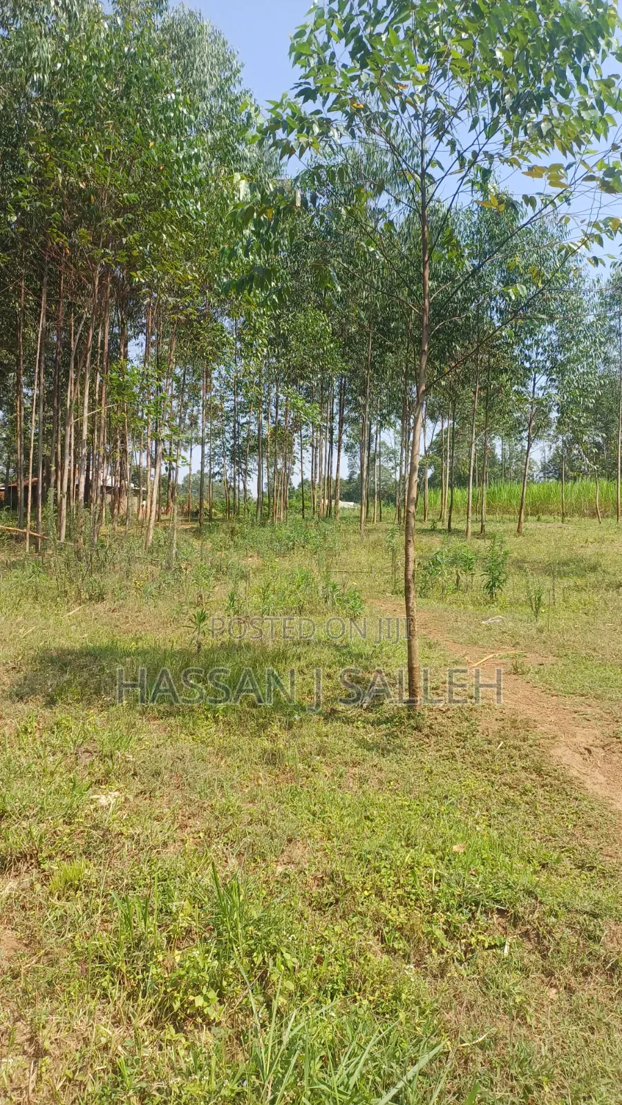 1.5acres Lureko on Sale