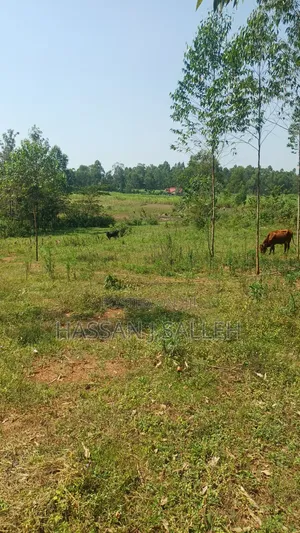 1.5acres Lureko on Sale