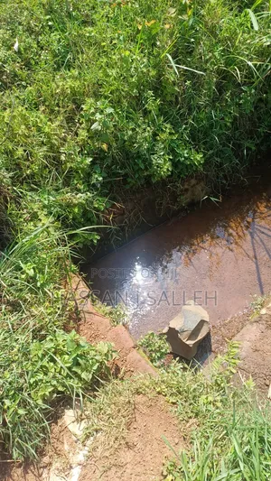 1.5acres Lureko on Sale