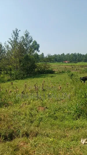 1.5acres Lureko on Sale