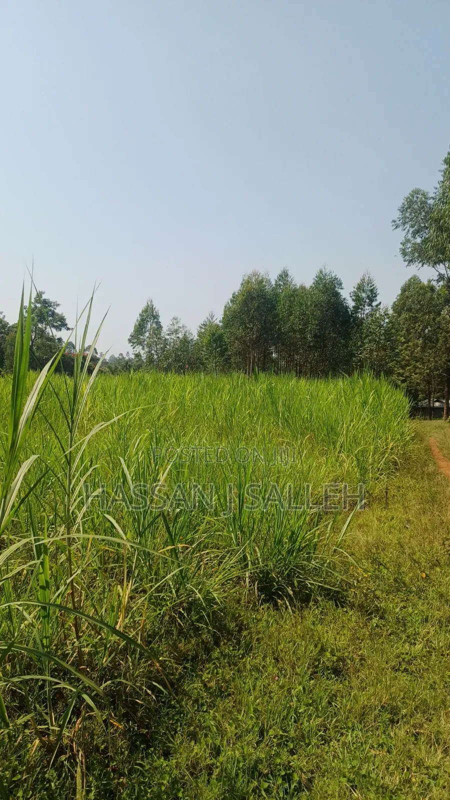1.5acres Lureko on Sale