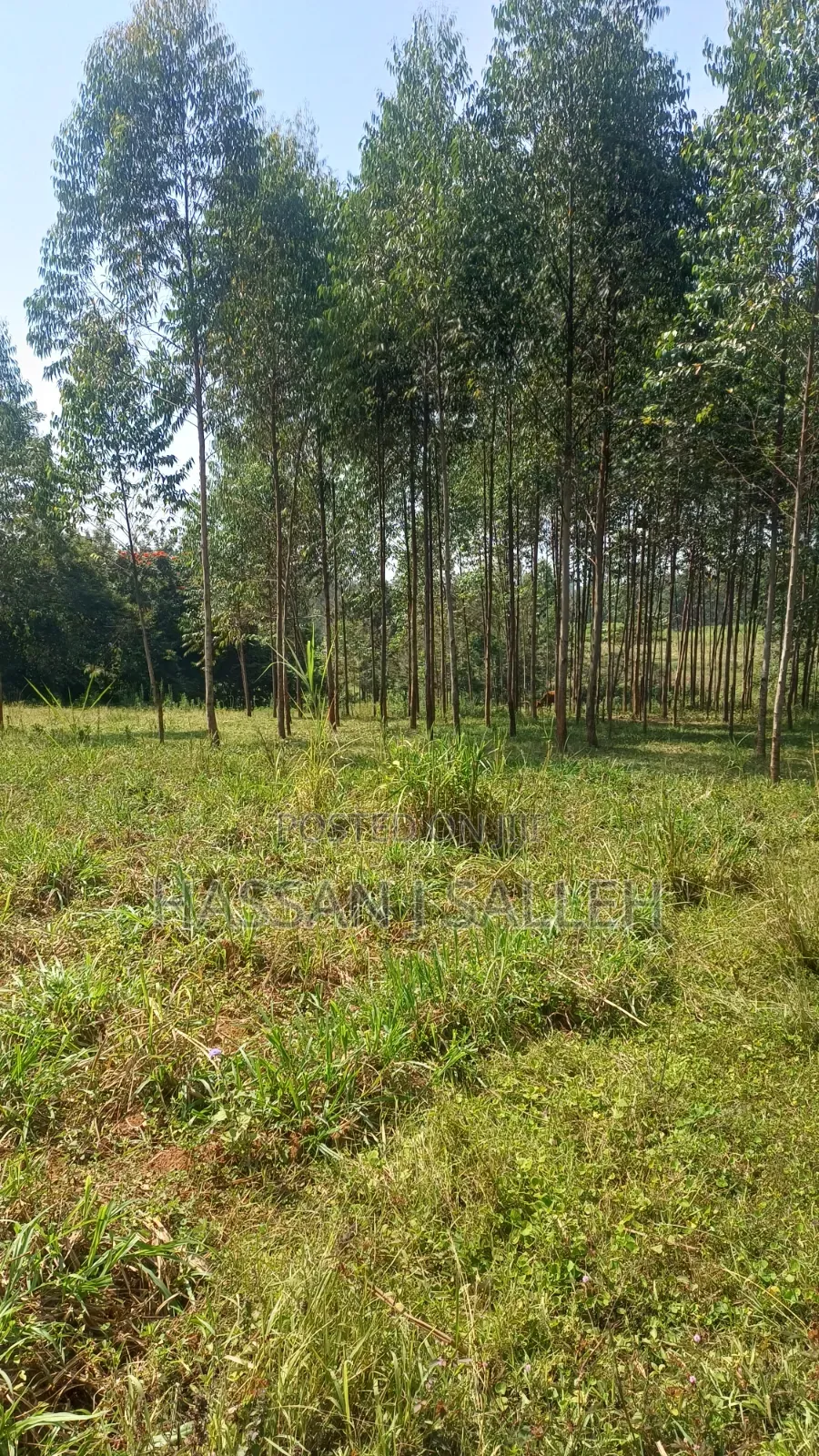 1.5acres Lureko on Sale