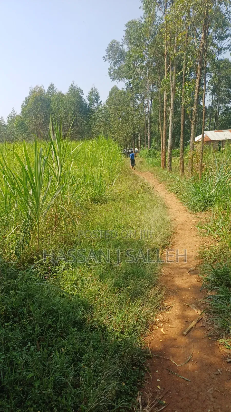 1.5acres Lureko on Sale