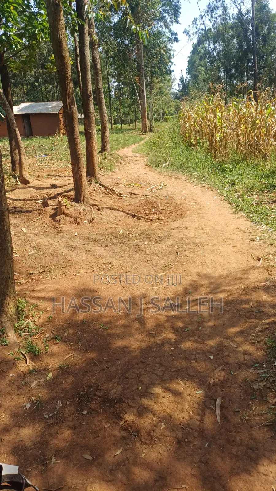 1.5acres Lureko on Sale