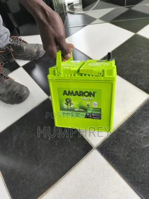 Efb Amaron Battery