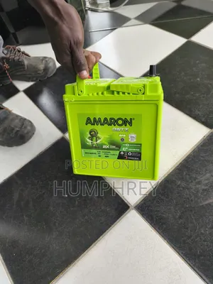 Efb Amaron Battery