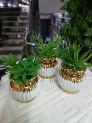 Gold White Succulent Décor - Gw