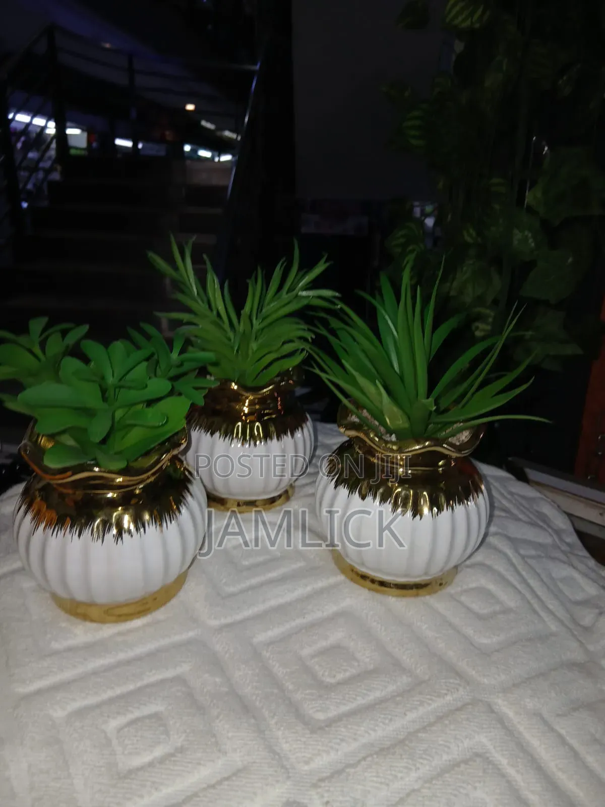 Gold White Succulent Décor - Gw
