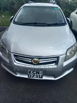 Toyota Corolla Fielder 2010 Silver