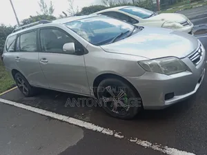 Toyota Corolla Fielder 2010 Silver