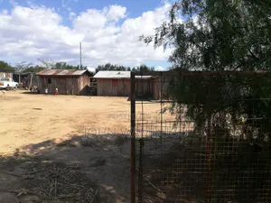 Lakipia Tigithi Matanya Land for Sale 3acres