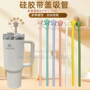 Silicone Straw With Star Straw Cap