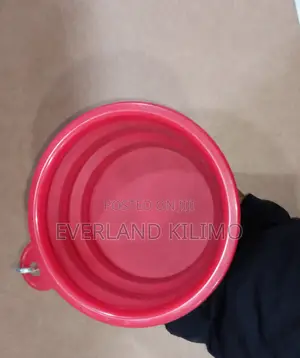 Red Collapsible Silicone Cat Travel Bowl