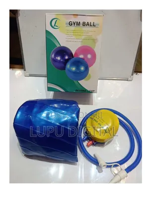 Gym Ball and Manual Pump
