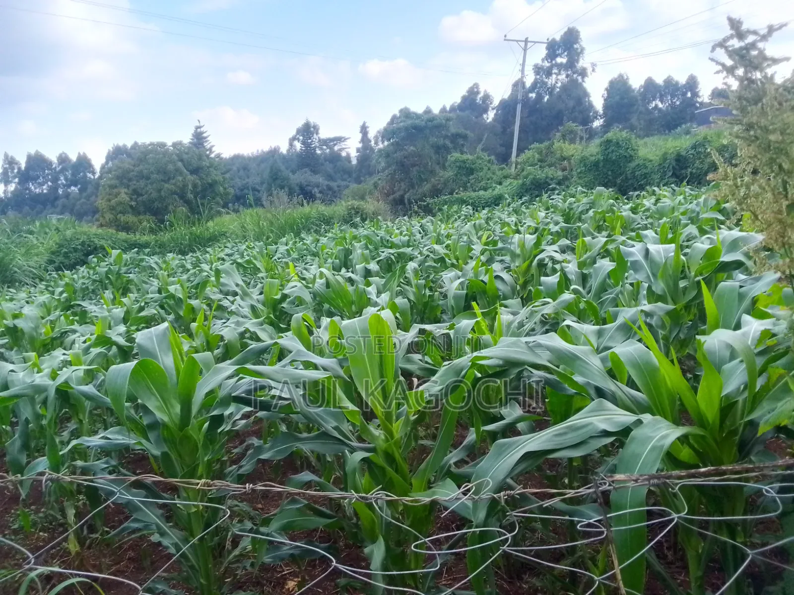 Land for Sale