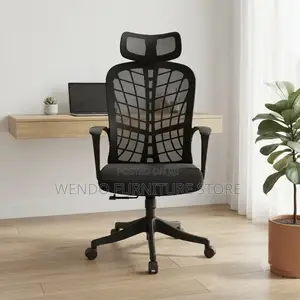 Office Chairs; Ergonomic Office Chairs With Spider Backrest