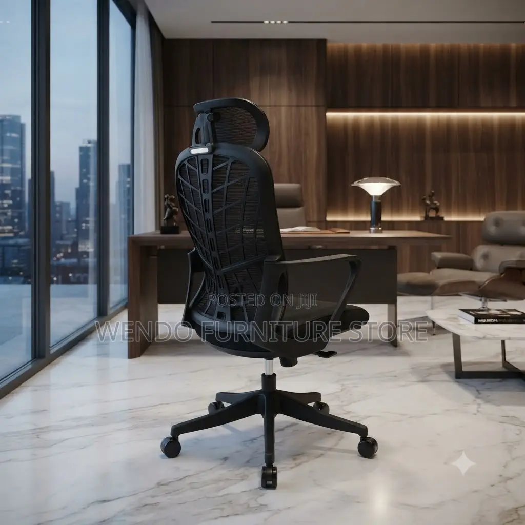 Office Chairs; Ergonomic Office Chairs With Spider Backrest