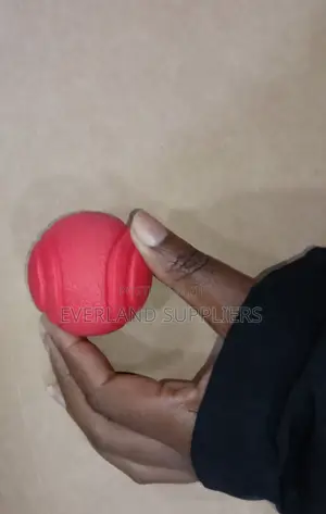 Aggressive Chewers Fetch Ball